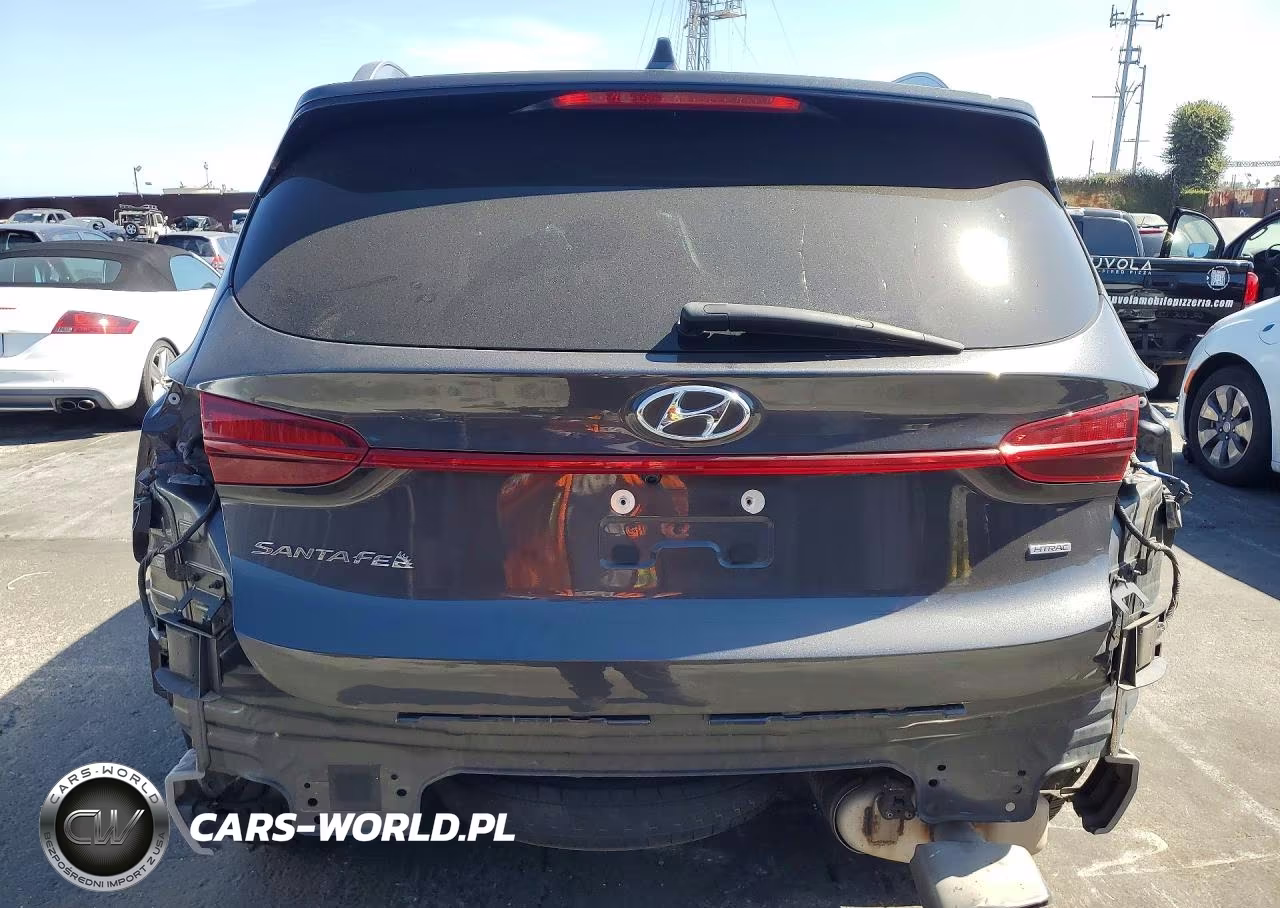 2023 Hyundai Santa Fe Sel VIN:5NMS2DAJXPH514109 - 6