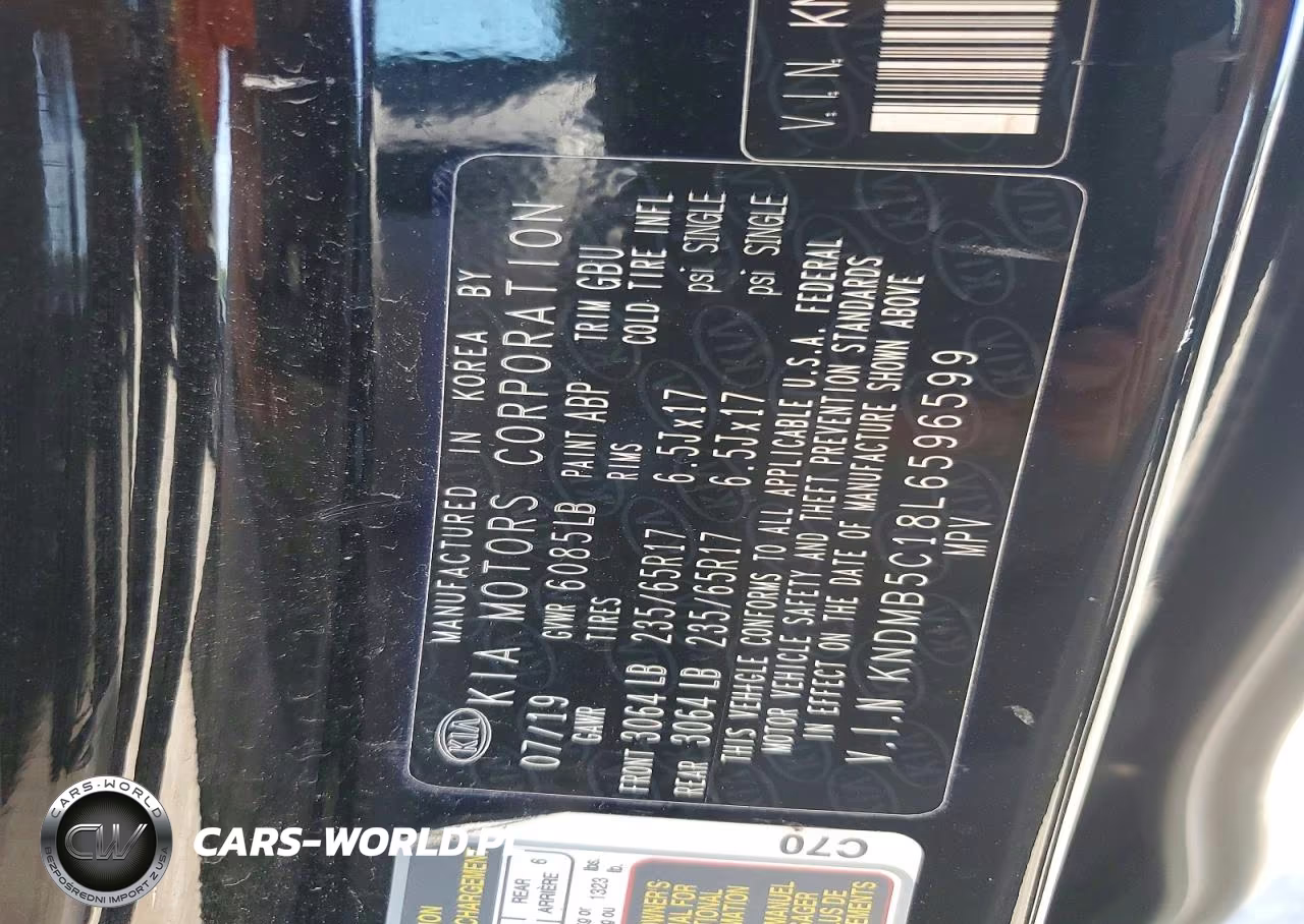 2020 Kia Sedona Lx VIN:KNDMB5C18L6596599 - 13