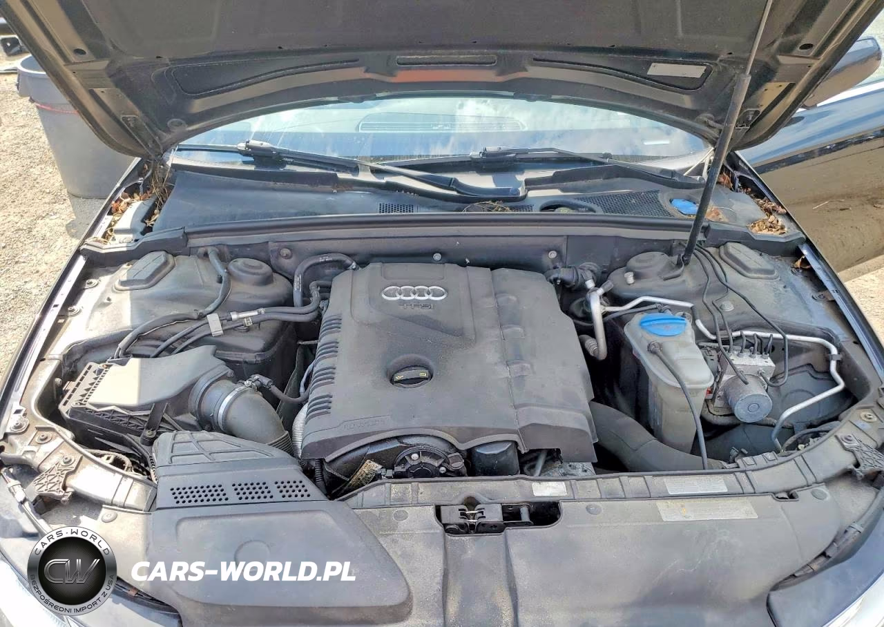 2014 Audi A4 Premium Plus VIN:WAUFFAFL3EN044260 - 11