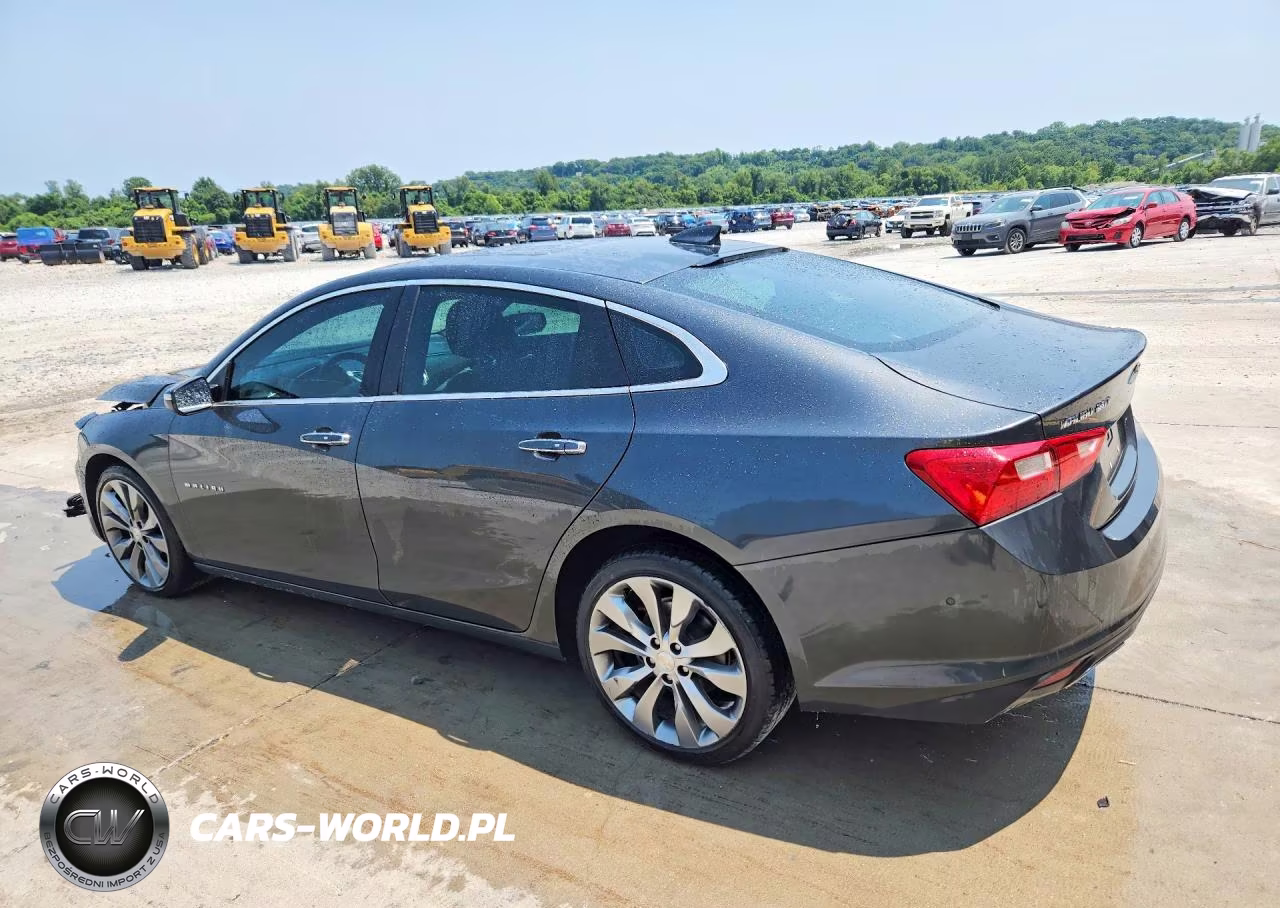 2017 Chevrolet Malibu Premier VIN:1G1ZH5SX1HF173955 - 2