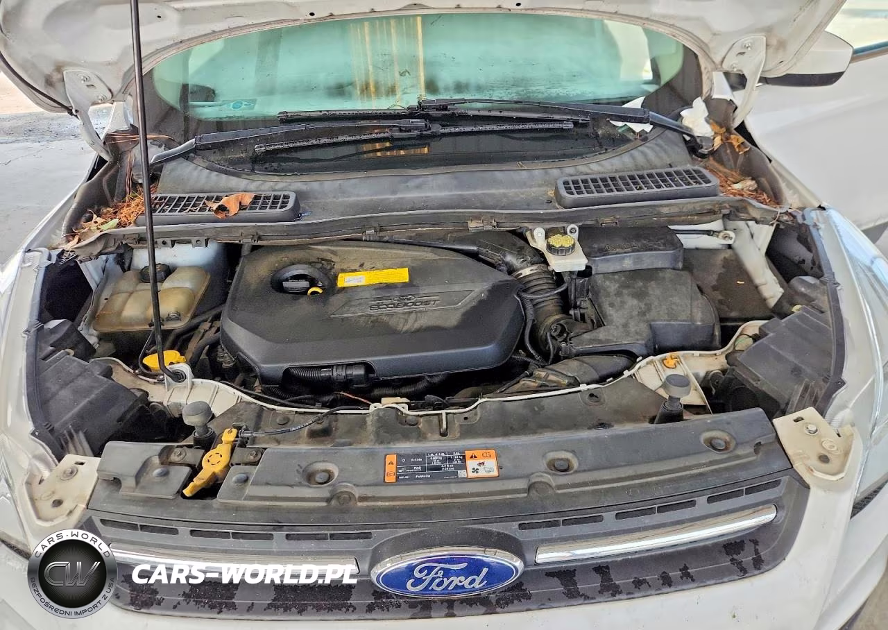 2016 Ford Escape Se VIN:1FMCU9GX5GUA10708 - 11