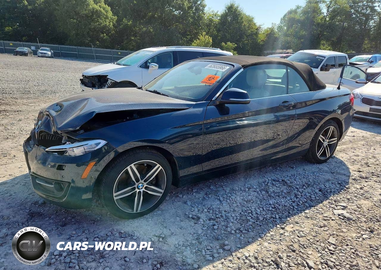 2017 BMW 230Xi VIN:WBA2M9C32HV985565 - 1