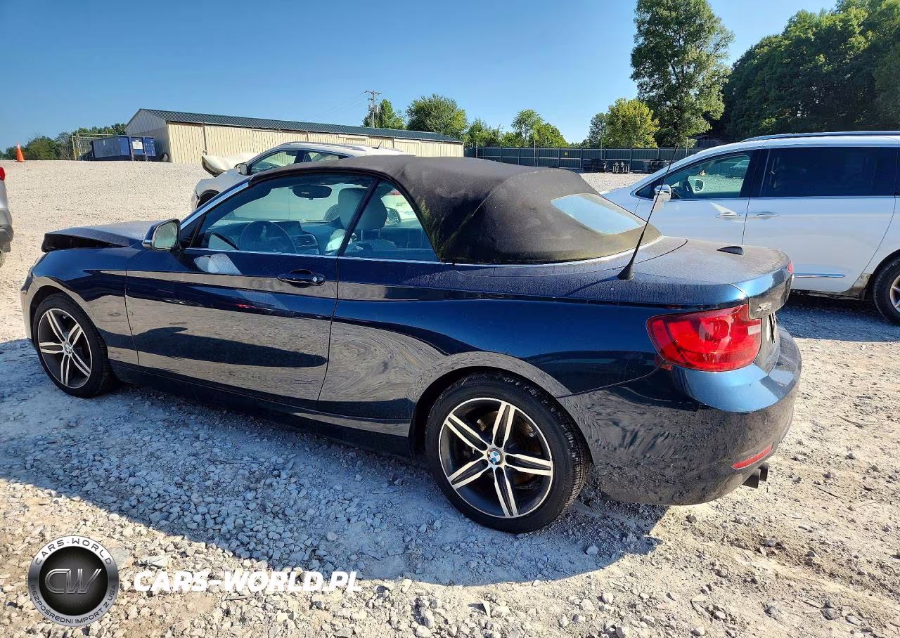 2017 BMW 230Xi VIN:WBA2M9C32HV985565 - 2