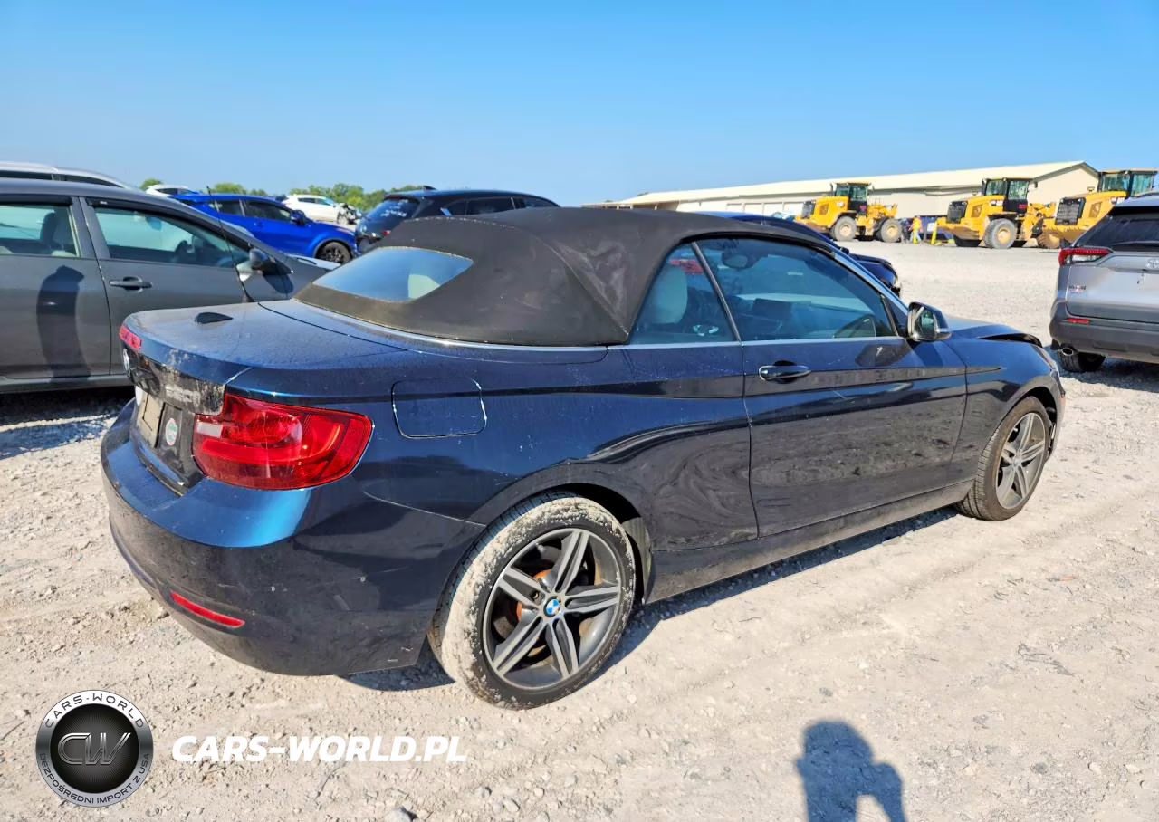 2017 BMW 230Xi VIN:WBA2M9C32HV985565 - 3