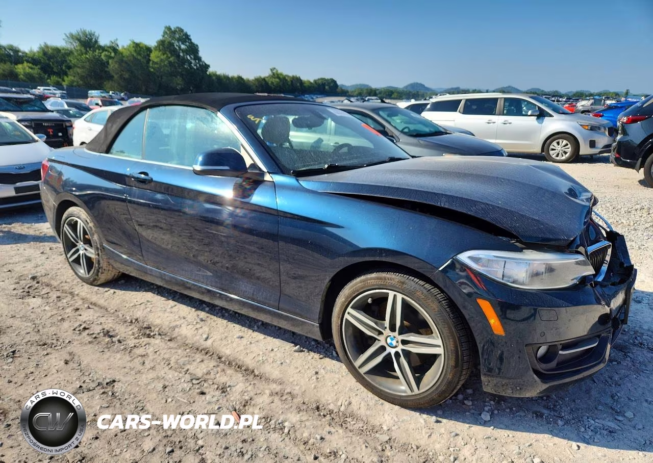 2017 BMW 230Xi VIN:WBA2M9C32HV985565 - 4