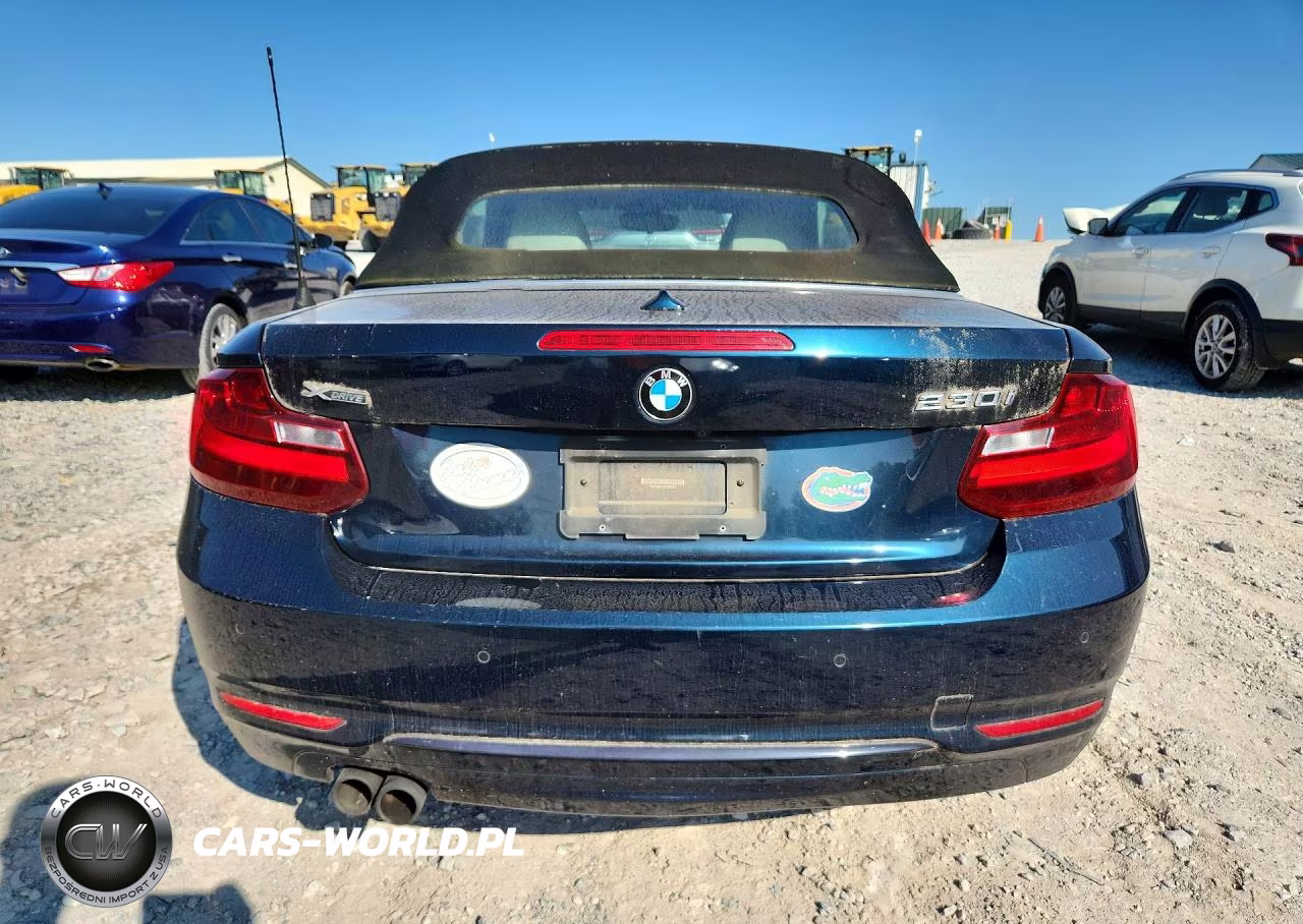 2017 BMW 230Xi VIN:WBA2M9C32HV985565 - 6