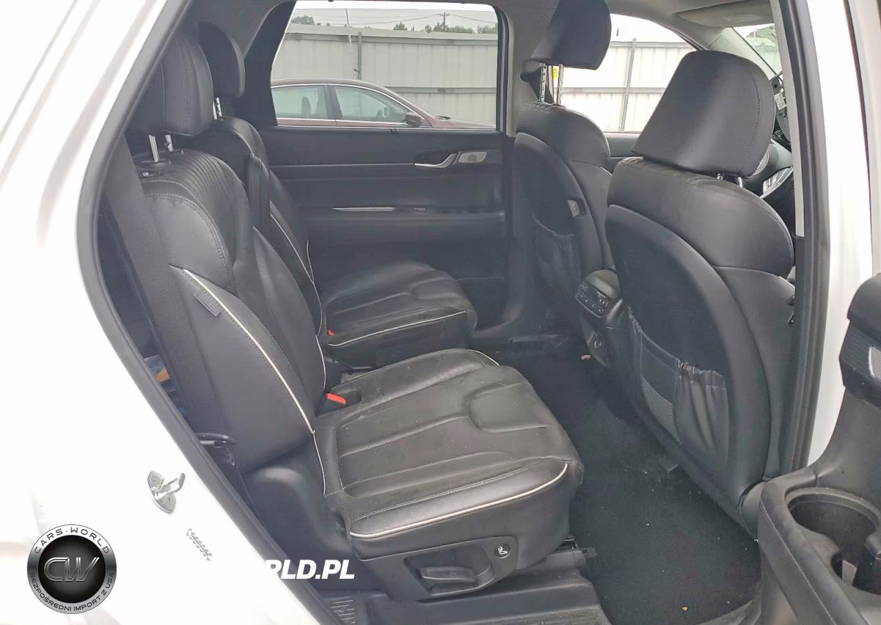 2023 Hyundai Palisade Limited VIN:KM8R5DGE4PU496582 - 11