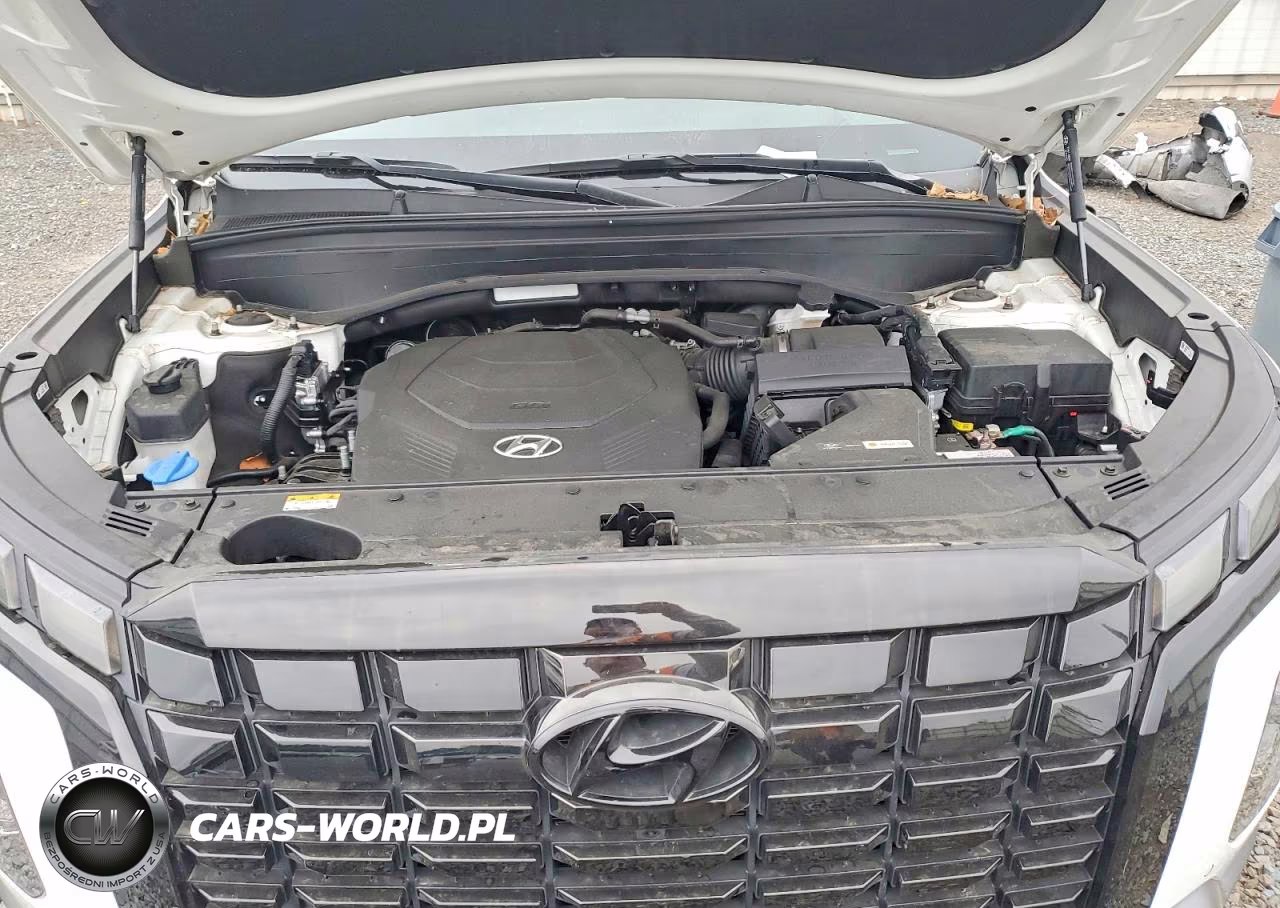 2023 Hyundai Palisade Limited VIN:KM8R5DGE4PU496582 - 12