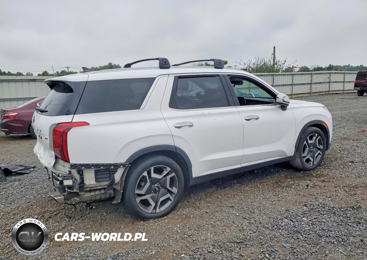 2023 Hyundai Palisade Limited VIN:KM8R5DGE4PU496582 - 3