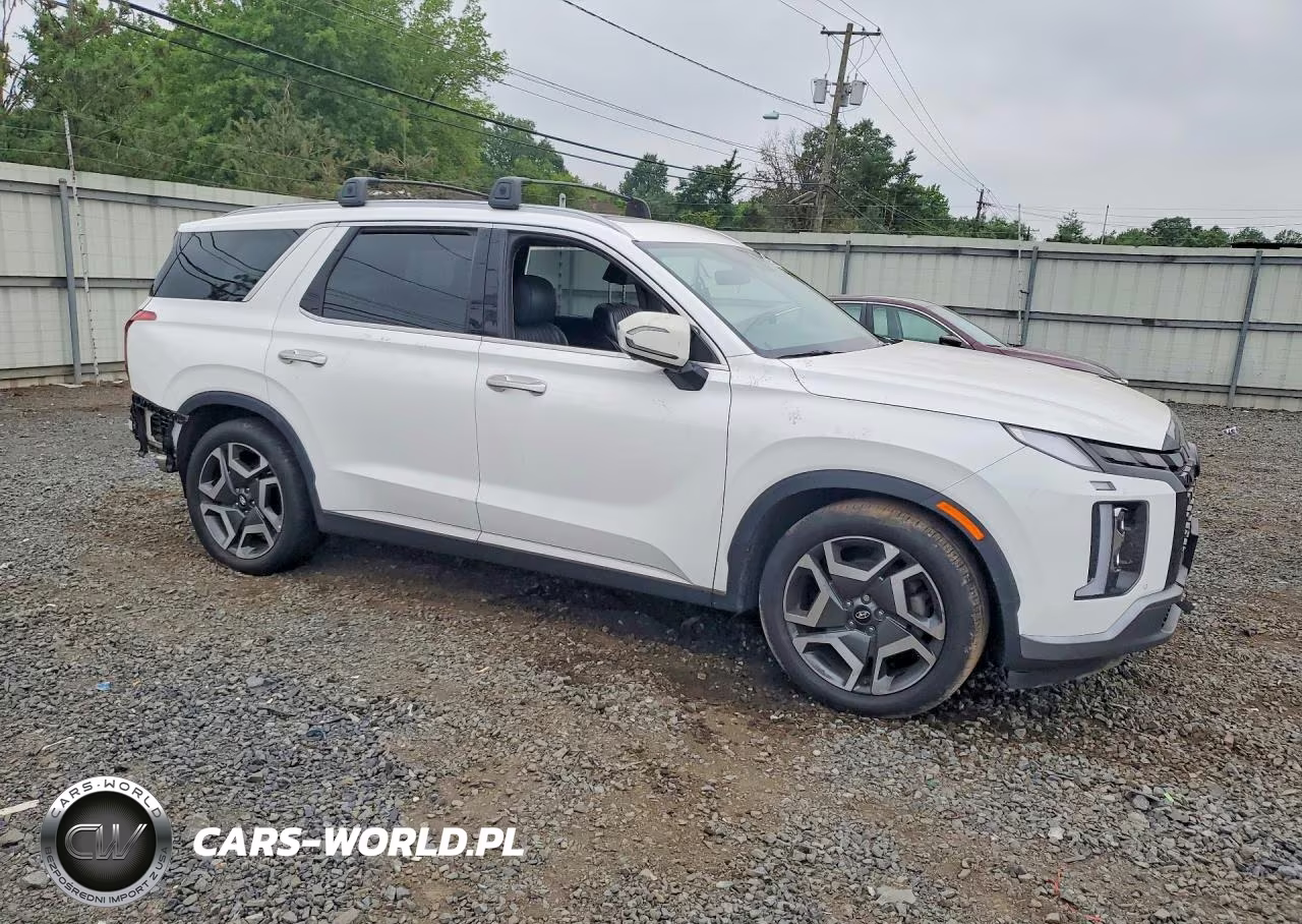 2023 Hyundai Palisade Limited VIN:KM8R5DGE4PU496582 - 4