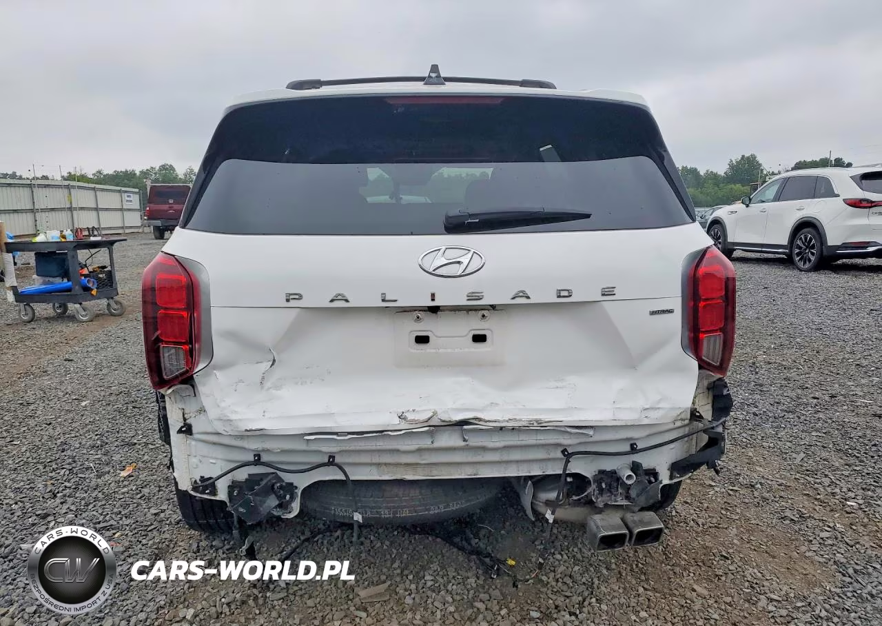 2023 Hyundai Palisade Limited VIN:KM8R5DGE4PU496582 - 6