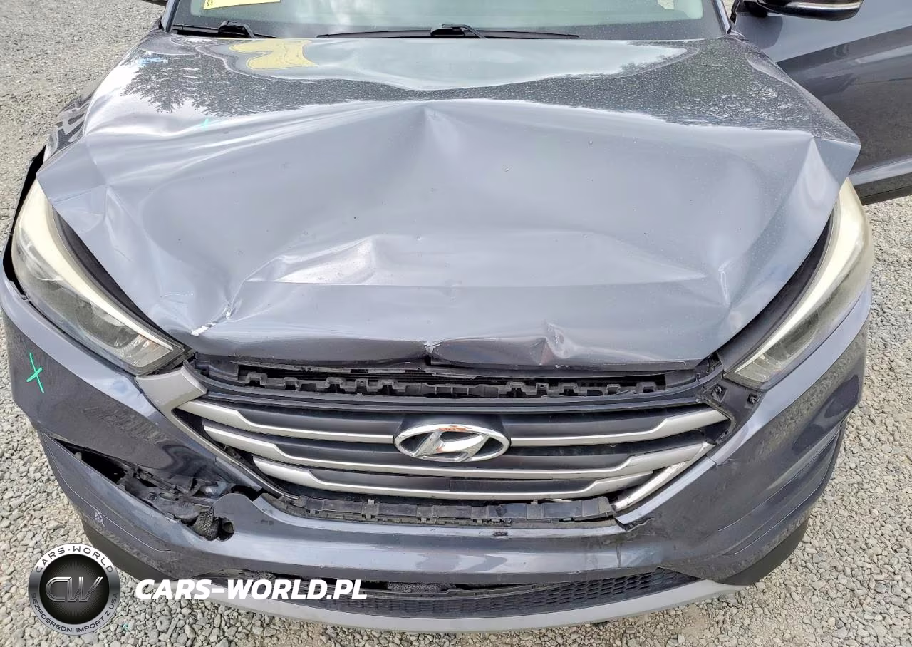 2017 Hyundai Tucson Night VIN:KM8J3CA26HU503321 - 12