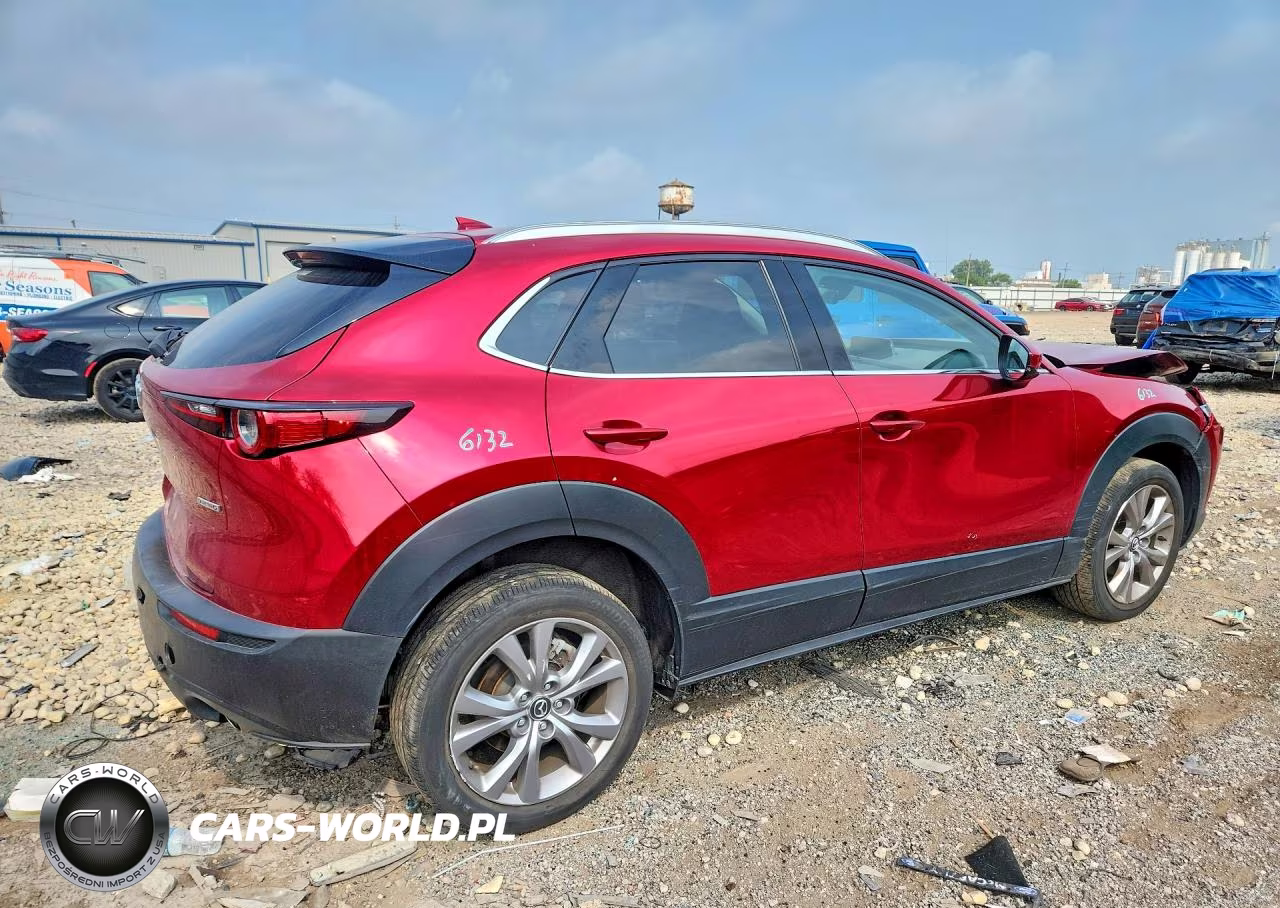2021 Mazda Cx-30 Premium VIN:3MVDMBDL1MM263699 - 3