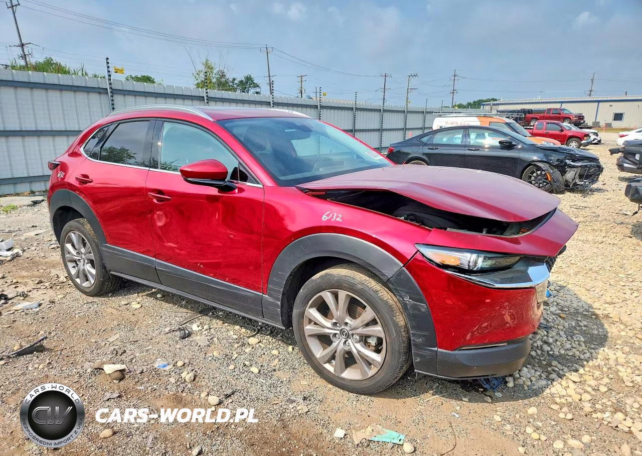 2021 Mazda Cx-30 Premium VIN:3MVDMBDL1MM263699 - 4