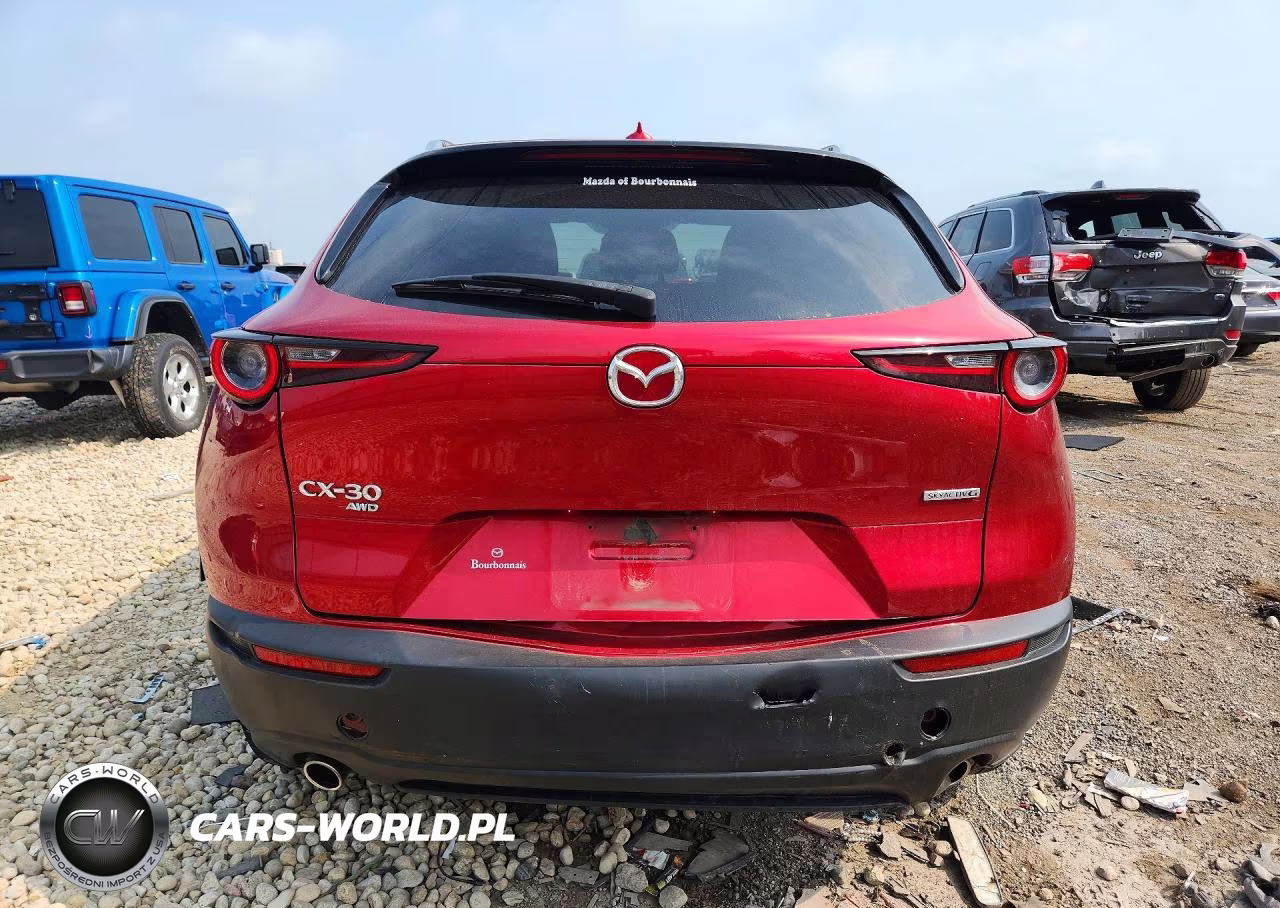 2021 Mazda Cx-30 Premium VIN:3MVDMBDL1MM263699 - 6