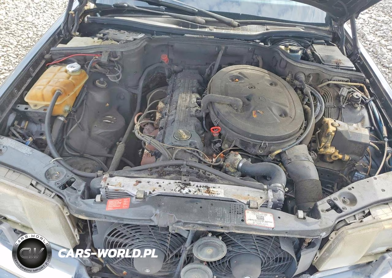 1991 Mercedes-Benz 300 Sel VIN:WDBCA25D0MA566742 - 11