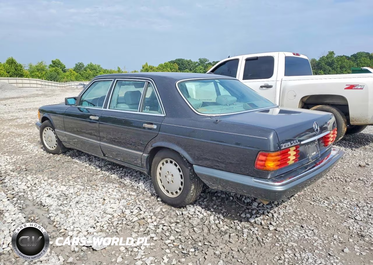 1991 Mercedes-Benz 300 Sel VIN:WDBCA25D0MA566742 - 2