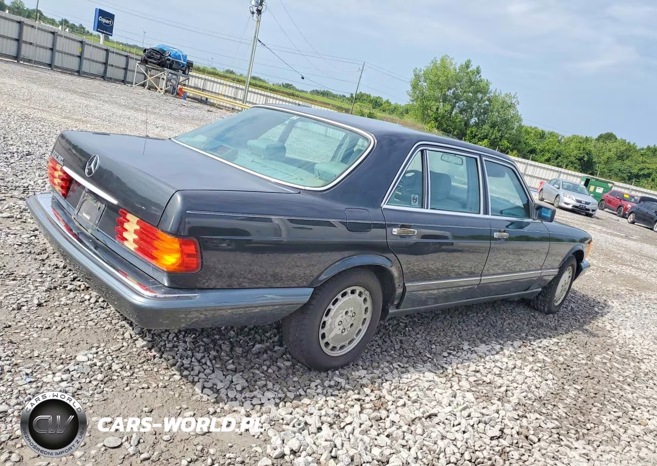 1991 Mercedes-Benz 300 Sel VIN:WDBCA25D0MA566742 - 3