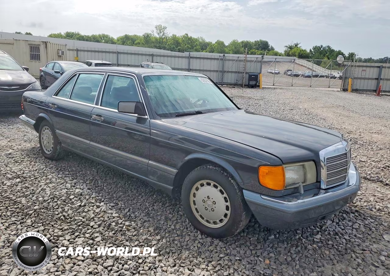 1991 Mercedes-Benz 300 Sel VIN:WDBCA25D0MA566742 - 4