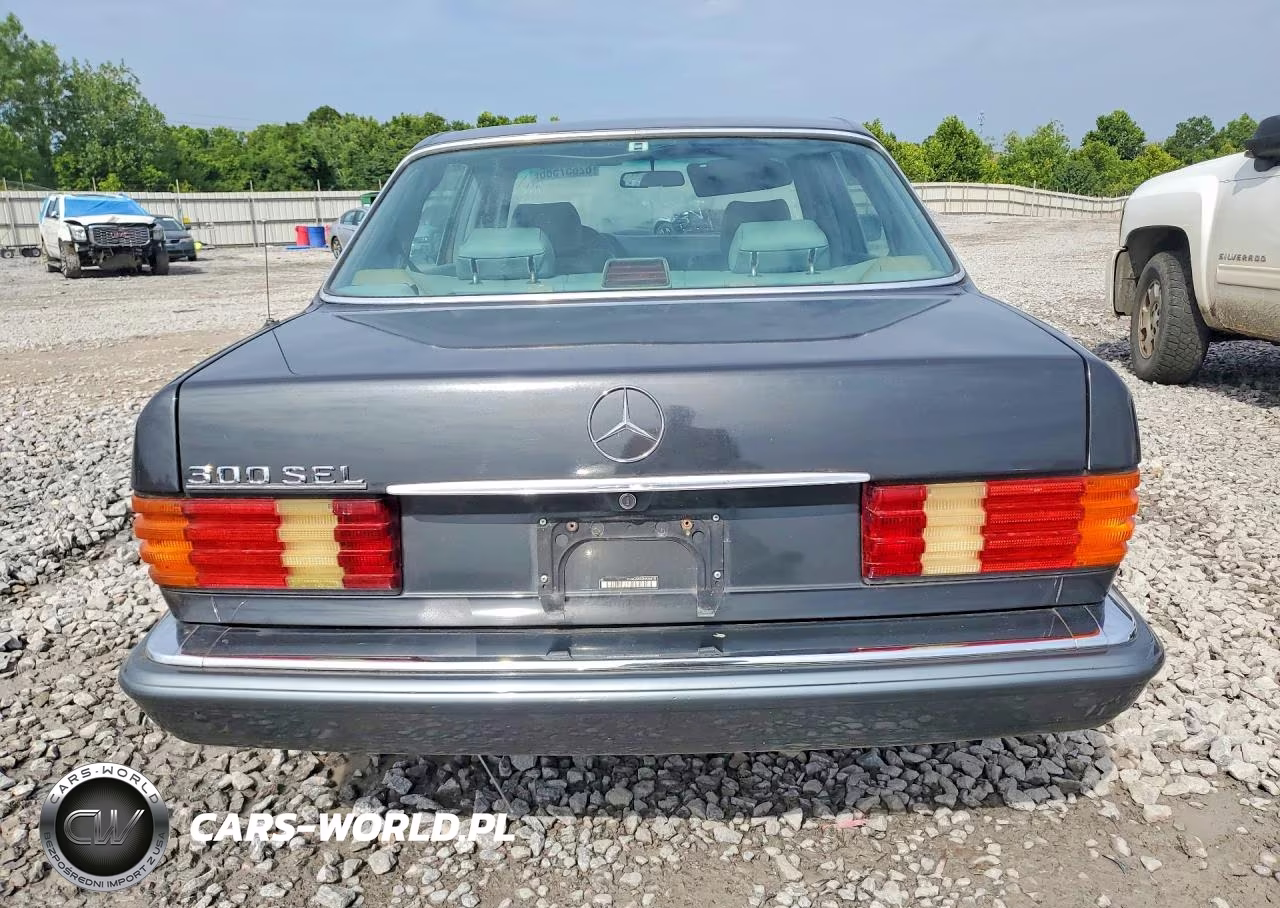 1991 Mercedes-Benz 300 Sel VIN:WDBCA25D0MA566742 - 6
