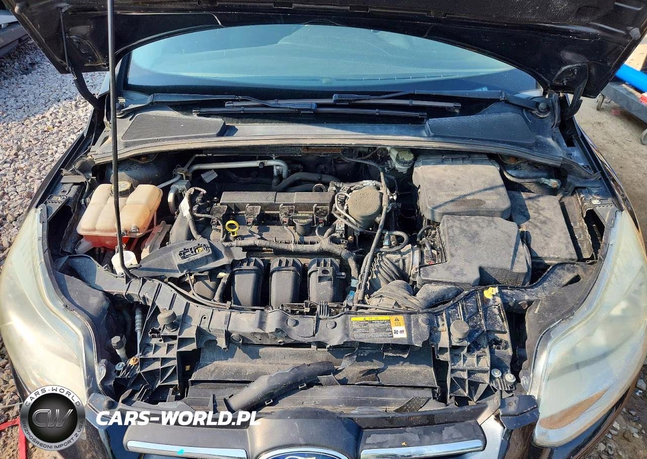 2013 Ford Focus Se VIN:1FADP3K24DL350402 - 11