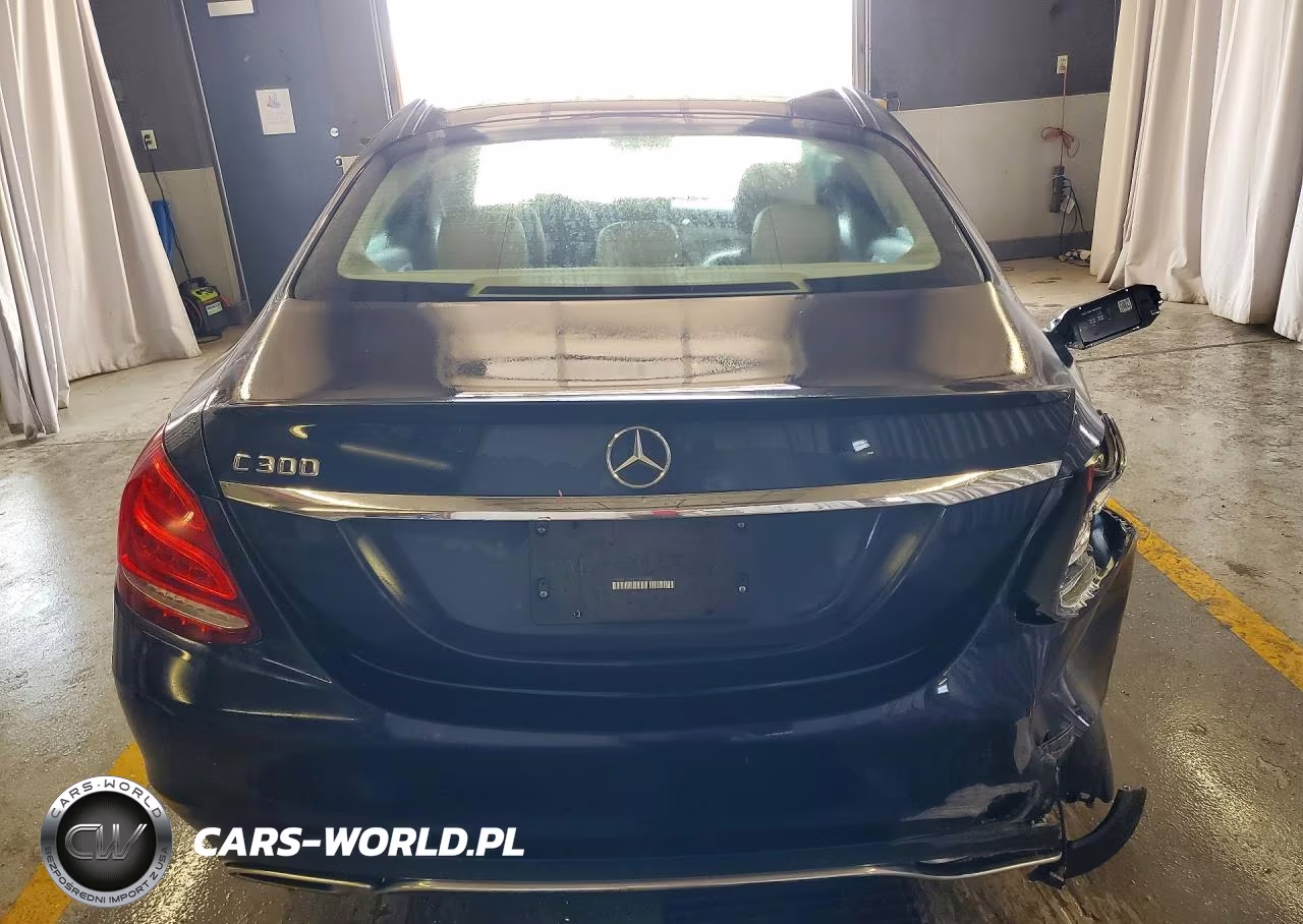 2016 Mercedes-Benz C 300 VIN:55SWF4JB9GU149887 - 6