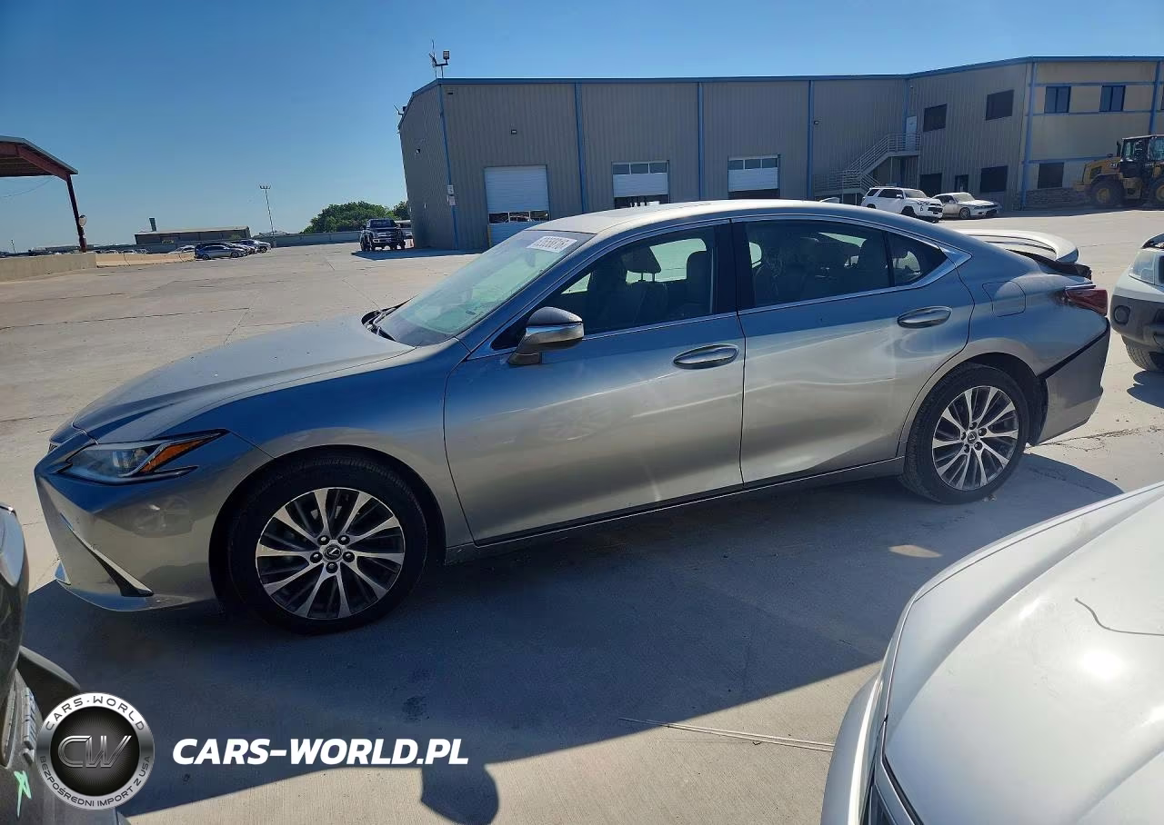 2019 Lexus Es 350 VIN:58ABZ1B11KU004195 - 1