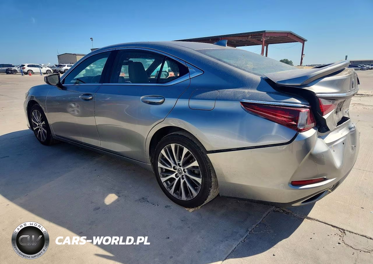 2019 Lexus Es 350 VIN:58ABZ1B11KU004195 - 2