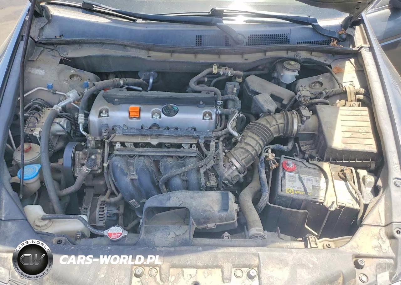 2010 Honda Accord Lxp VIN:1HGCP2F45AA005612 - 11