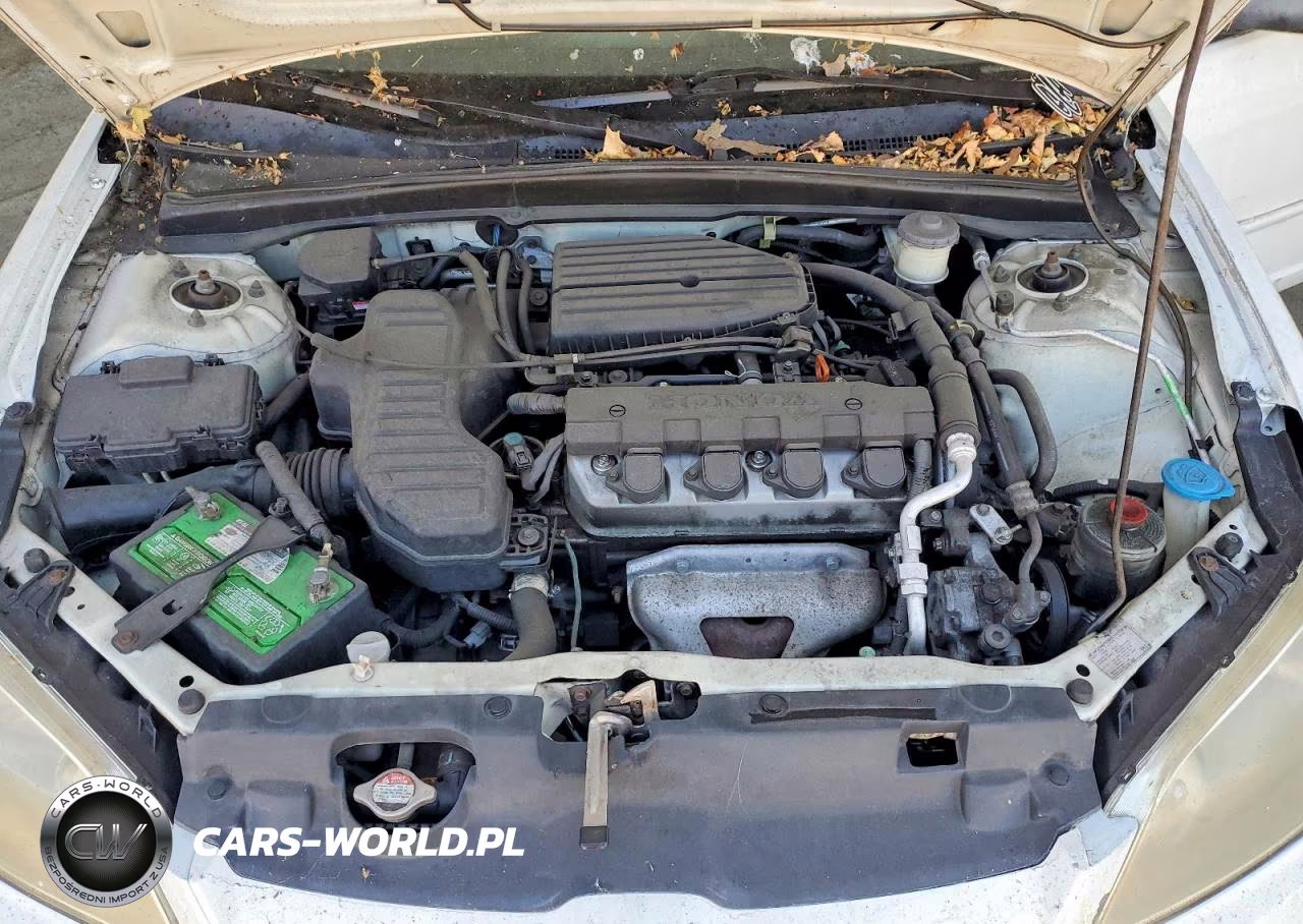 2004 Honda Civic Lx VIN:2HGES16564H641648 - 11