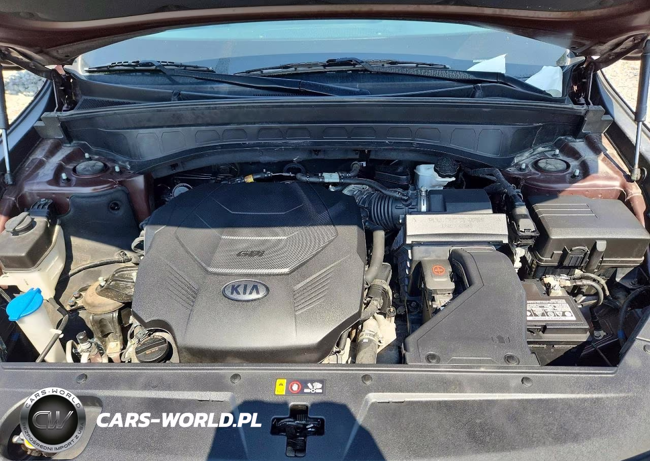 2020 Kia Telluride S VIN:5XYP64HC6LG029522 - 12