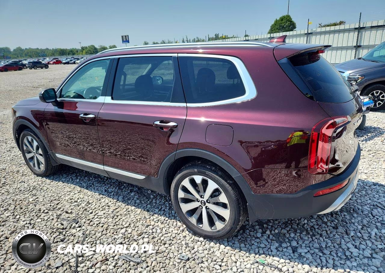 2020 Kia Telluride S VIN:5XYP64HC6LG029522 - 2