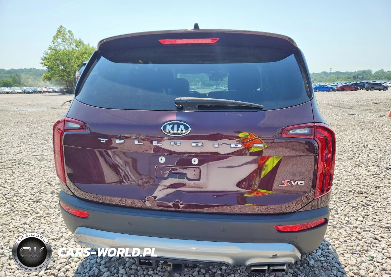 2020 Kia Telluride S VIN:5XYP64HC6LG029522 - 6