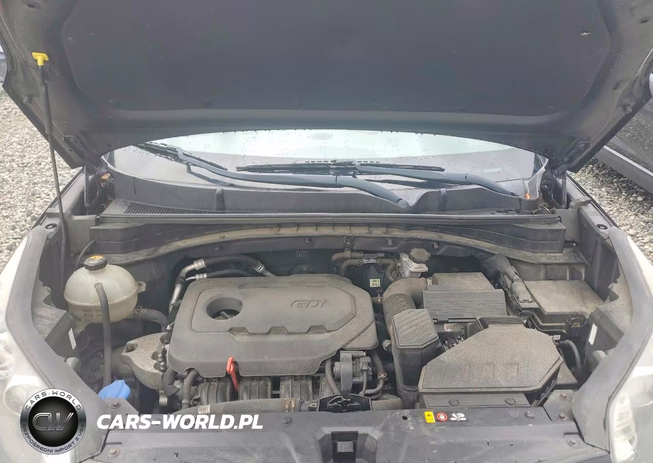 2017 Kia Sportage Lx VIN:KNDPMCAC5H7295967 - 12