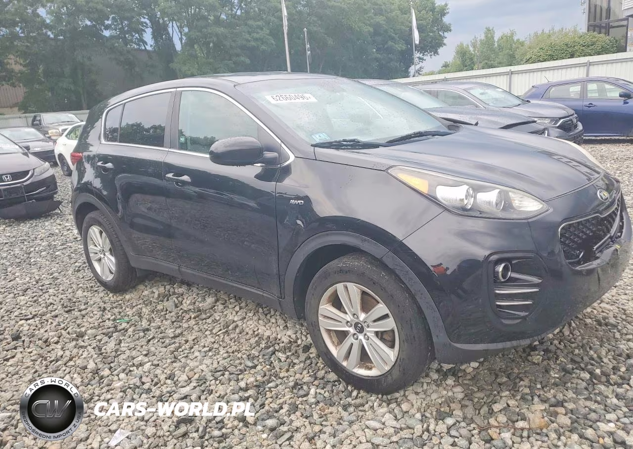 2017 Kia Sportage Lx VIN:KNDPMCAC5H7295967 - 4
