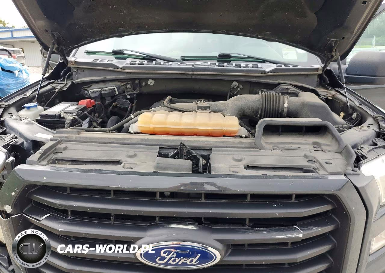2017 Ford F150 Xl VIN:1FTEX1EP1HKD81726 - 11