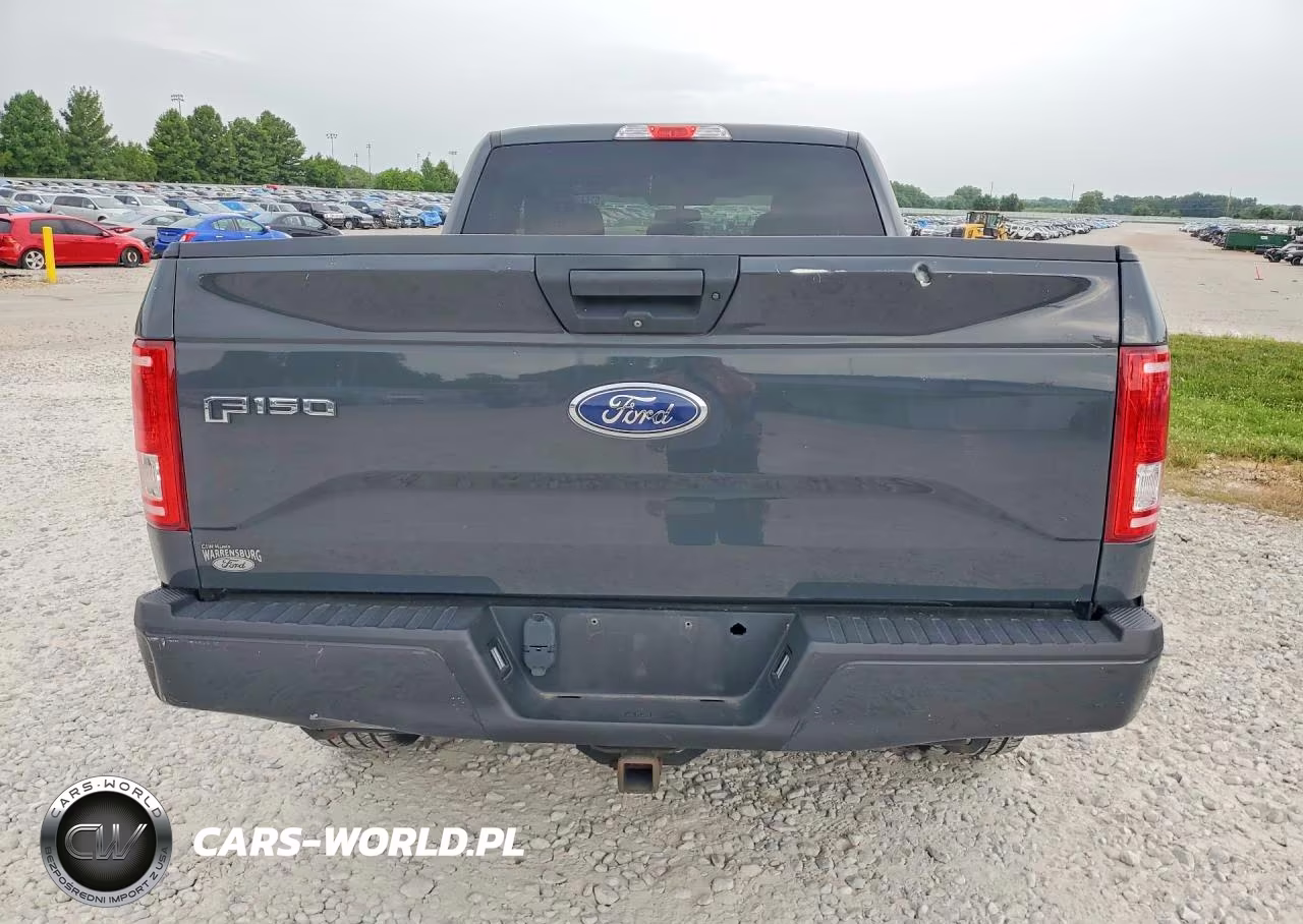 2017 Ford F150 Xl VIN:1FTEX1EP1HKD81726 - 6