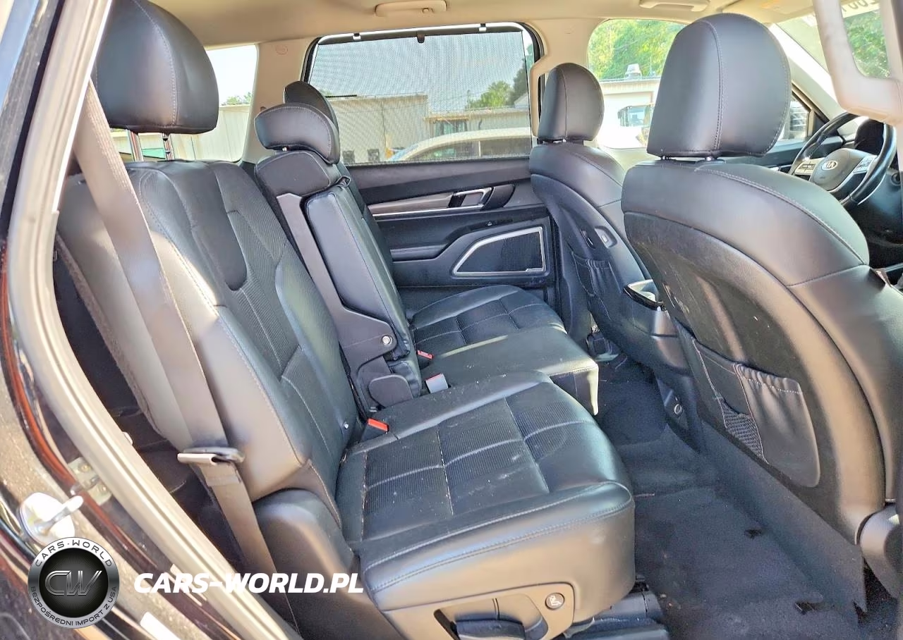 2020 Kia Telluride Ex VIN:5XYP34HC9LG028938 - 11