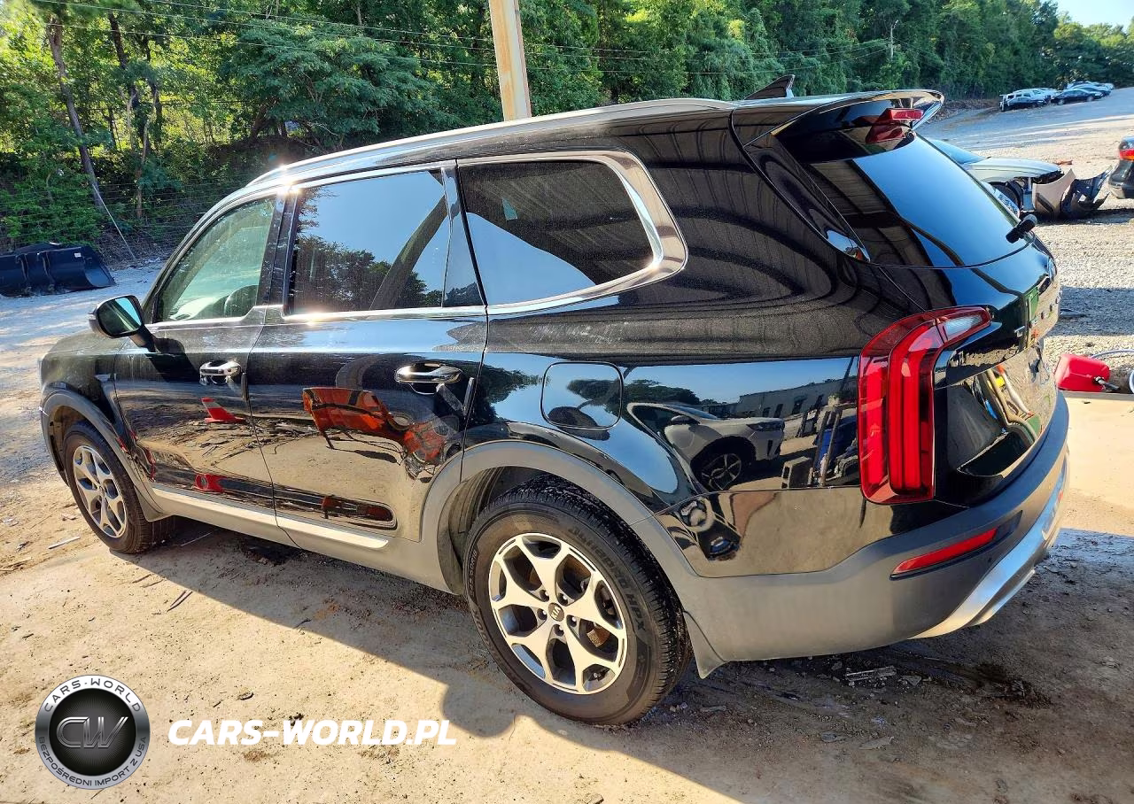 2020 Kia Telluride Ex VIN:5XYP34HC9LG028938 - 2