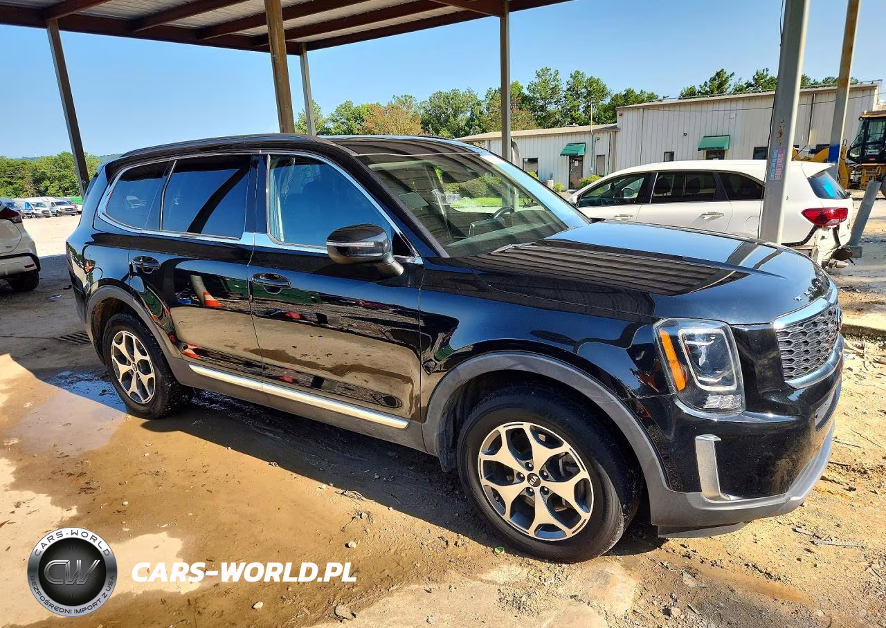 2020 Kia Telluride Ex VIN:5XYP34HC9LG028938 - 4