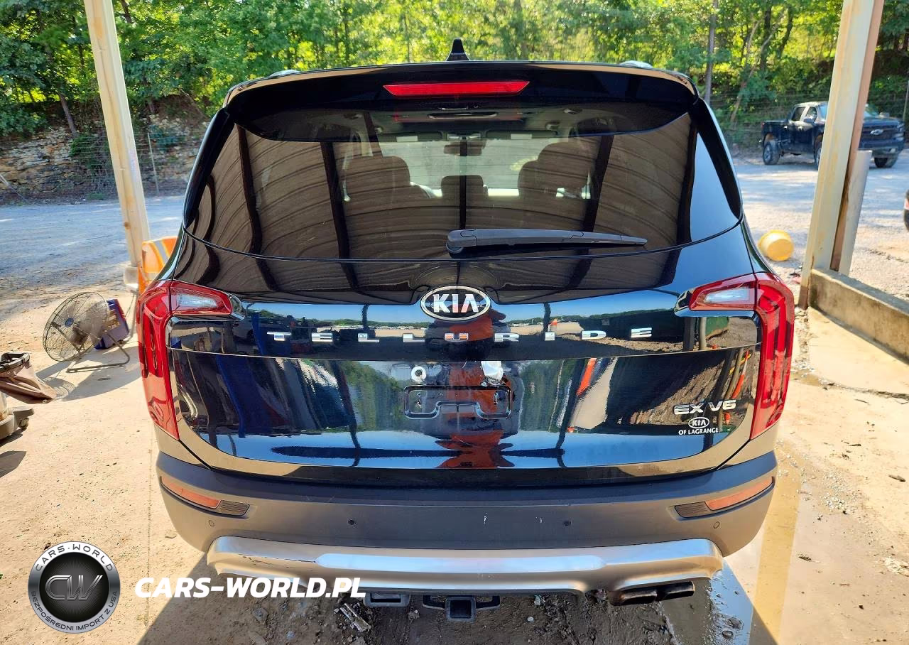 2020 Kia Telluride Ex VIN:5XYP34HC9LG028938 - 6
