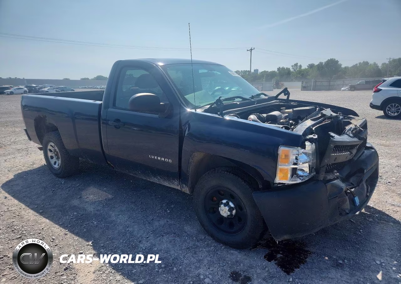 2012 Chevrolet Silverado C1500 VIN:1GCNCPEX5CZ285192 - 4