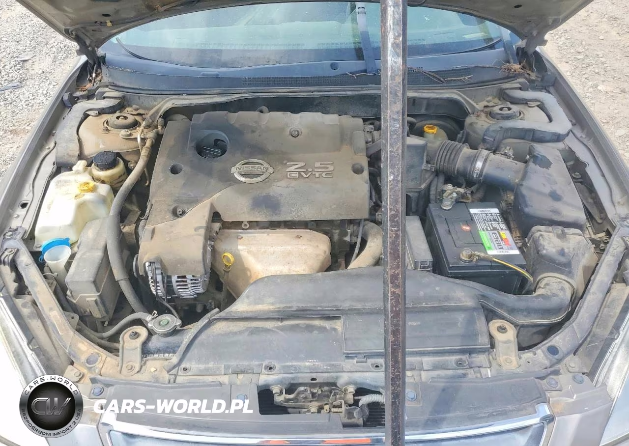 2004 Nissan Altima 2.5 VIN:1N4AL11D44C180516 - 11