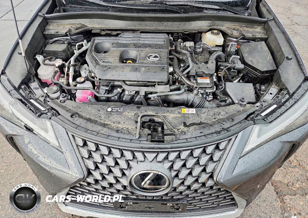 2025 Lexus Ux 300H Premium VIN:JTHUCJDH9S2001488 - 12
