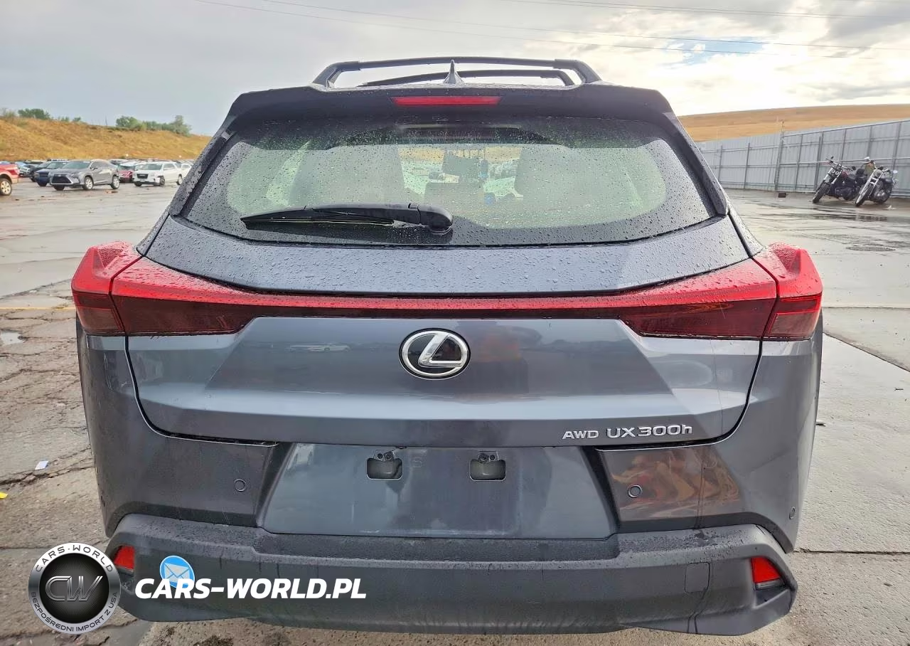 2025 Lexus Ux 300H Premium VIN:JTHUCJDH9S2001488 - 6