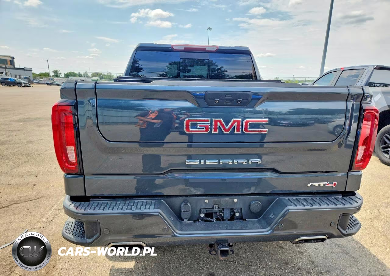 2019 GMC Sierra K1500 At4 VIN:1GTP9EED8KZ129048 - 6