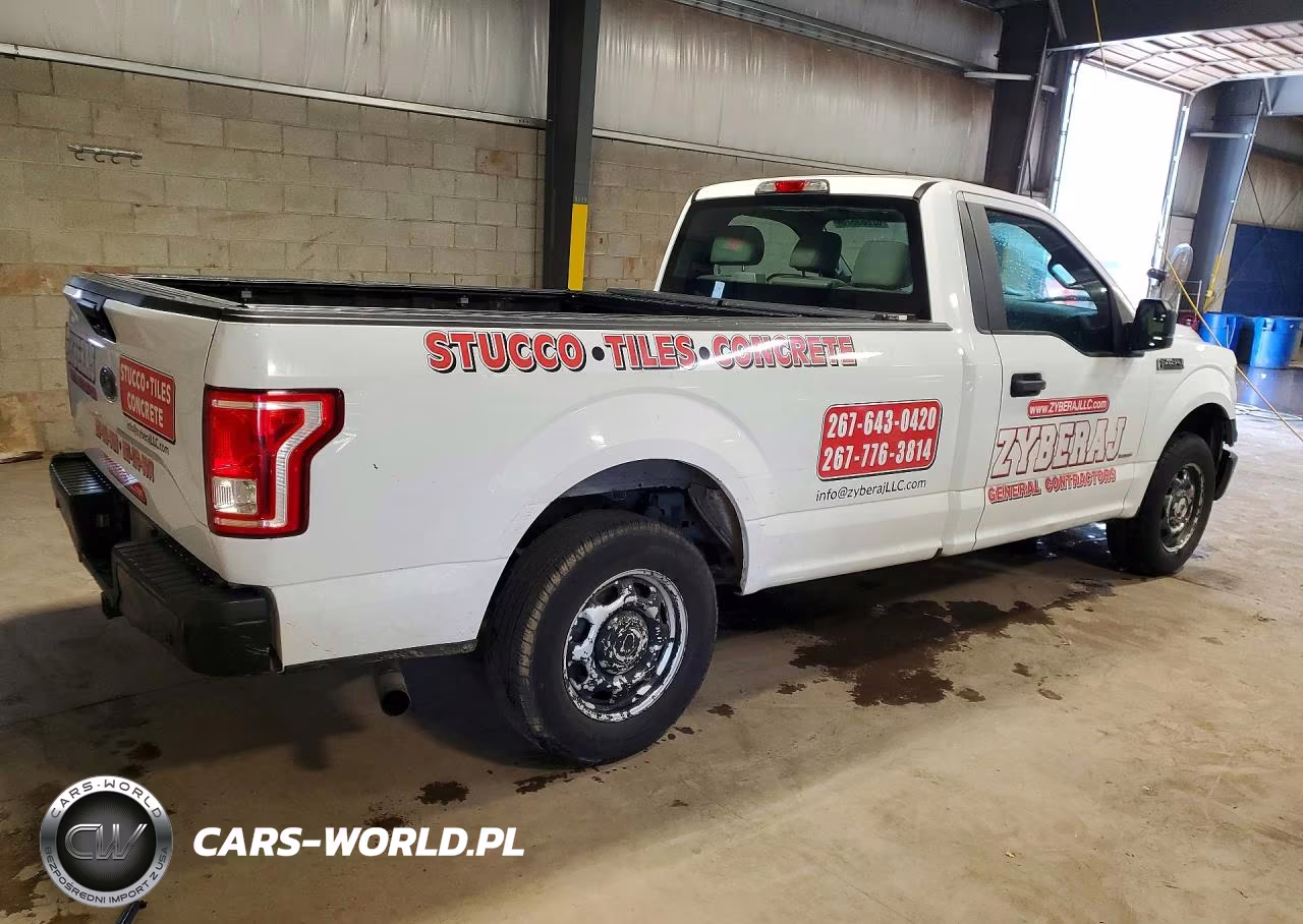2015 Ford F150 VIN:1FTMF1CP5FKD45052 - 3