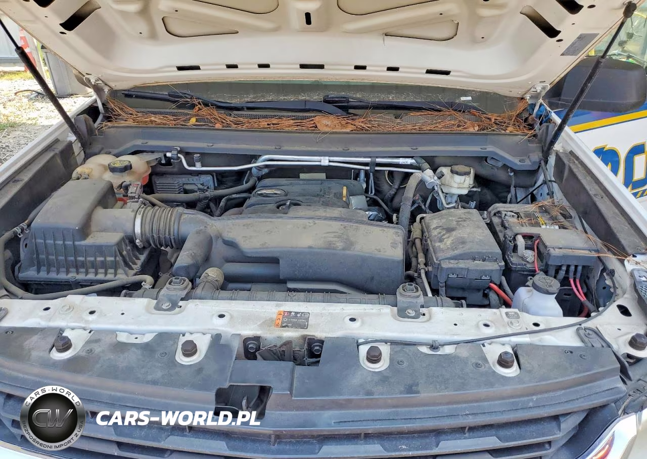 2020 Chevrolet Colorado VIN:1GCHSBEA4L1114026 - 11
