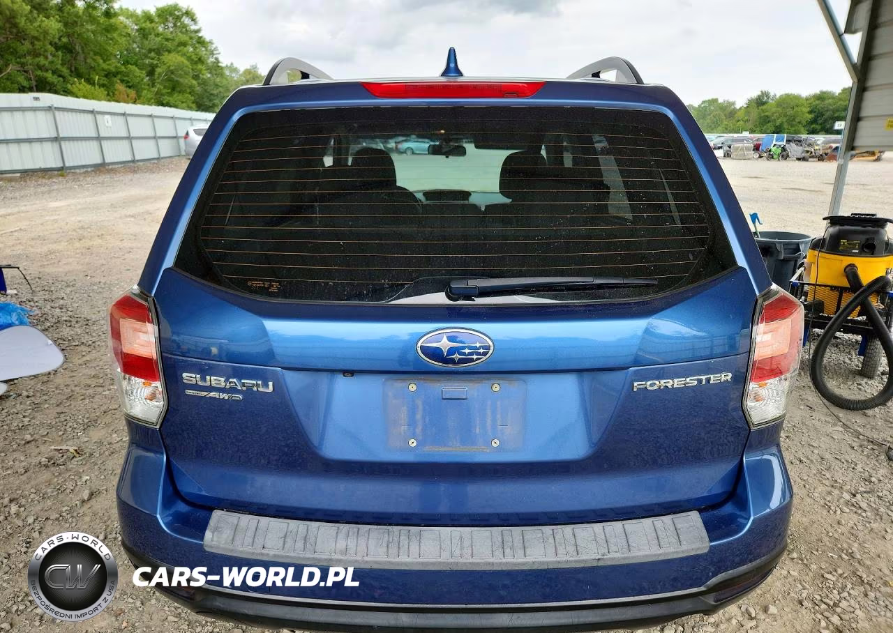 2018 Subaru Forester 2.5I VIN:JF2SJABC7JH454401 - 6