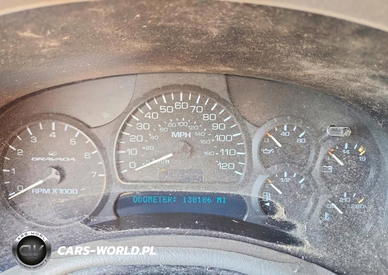 2002 Oldsmobile Bravada VIN:1GHDT13S722102036 - 9